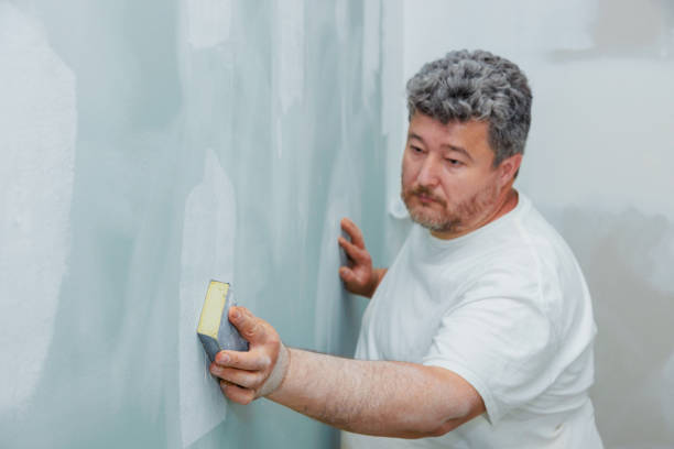Professional Mold Removal in Bull Mountain, OR